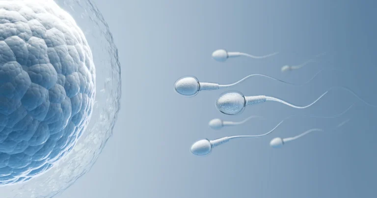 HAM alto e fertilidade: entenda o que o Hormônio Anti-Mülleriano realmente mostra
