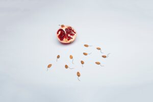Ecografia na indução da ovulação: entenda a importância
